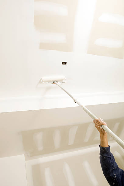 Professional Mold Removal in West Puente Valley, CA