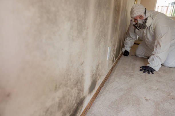 Forensic Mold Investigation in West Puente Valley, CA